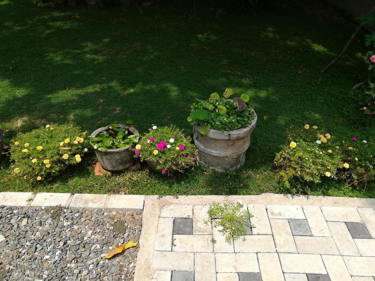 Sea Breeze Hotel Bentota Bagian luar foto